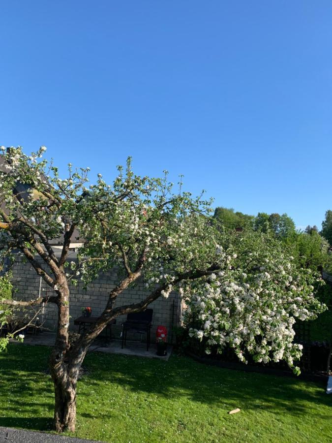 Mooni Cottage Pärnu Eksteriør billede